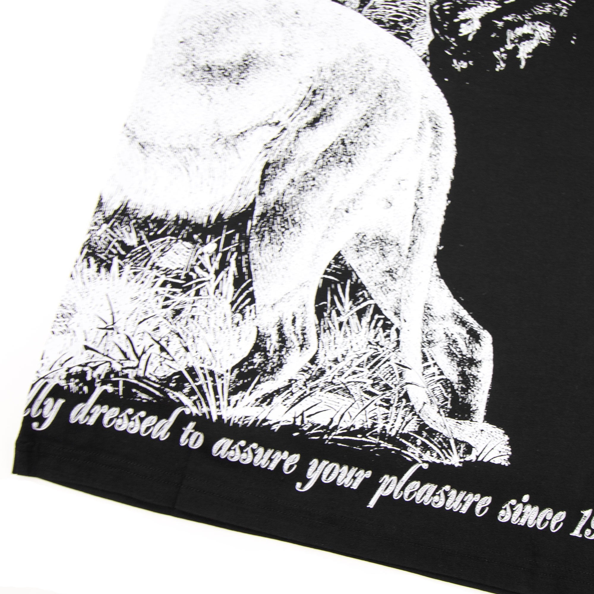 Vivienne Westwood Anglomania Lion Print T-shirt Black 900