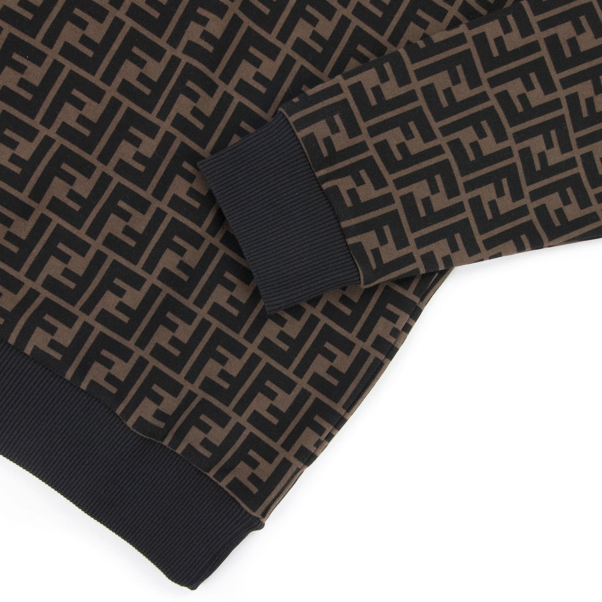 Fendi Ff Logo Hoodied Sweatshirt Tabacco/nero
