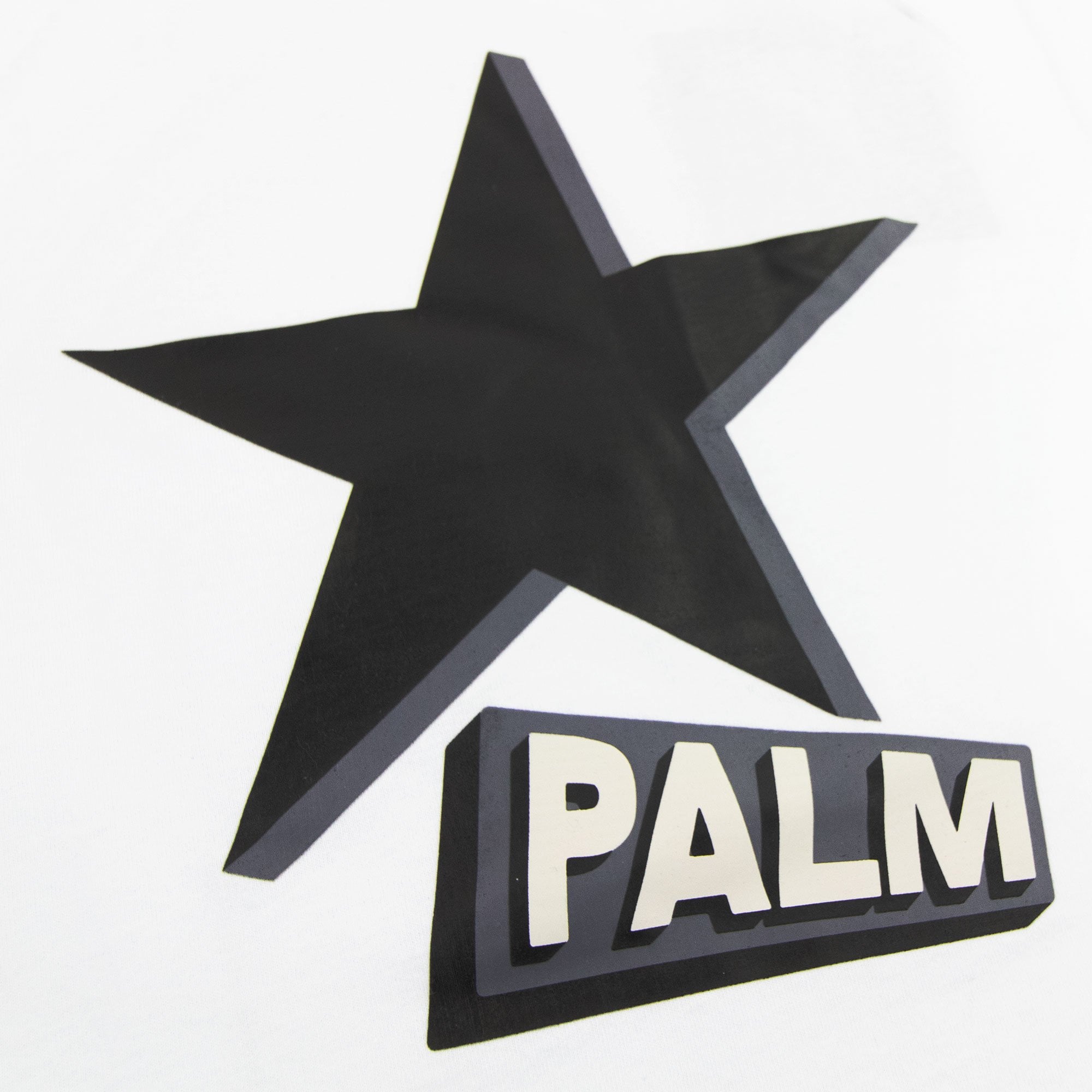 Palm Angels Rockstar Over Reglan T Shirt White/black