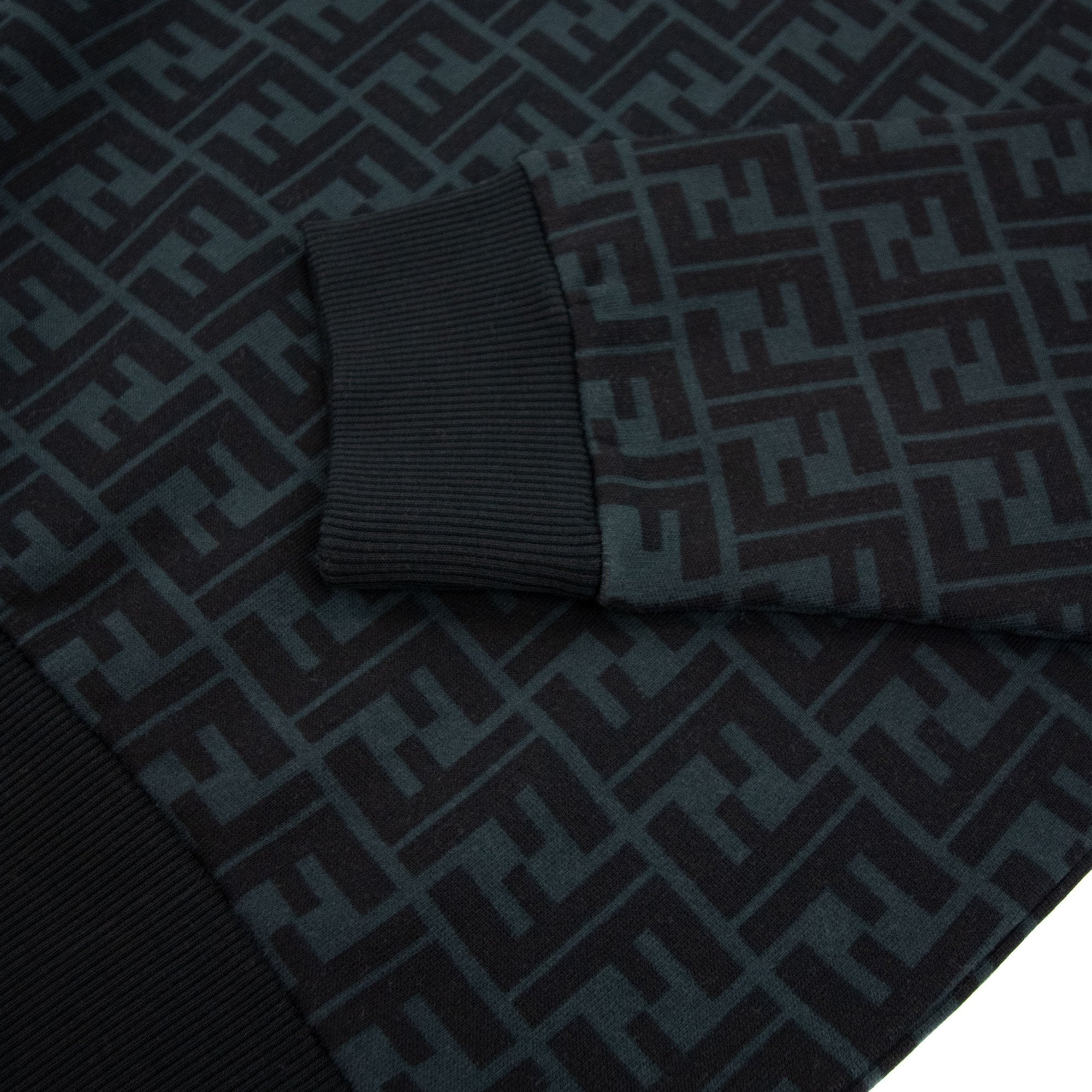 Fendi Ff Logo Hoodied Sweatshirt Black