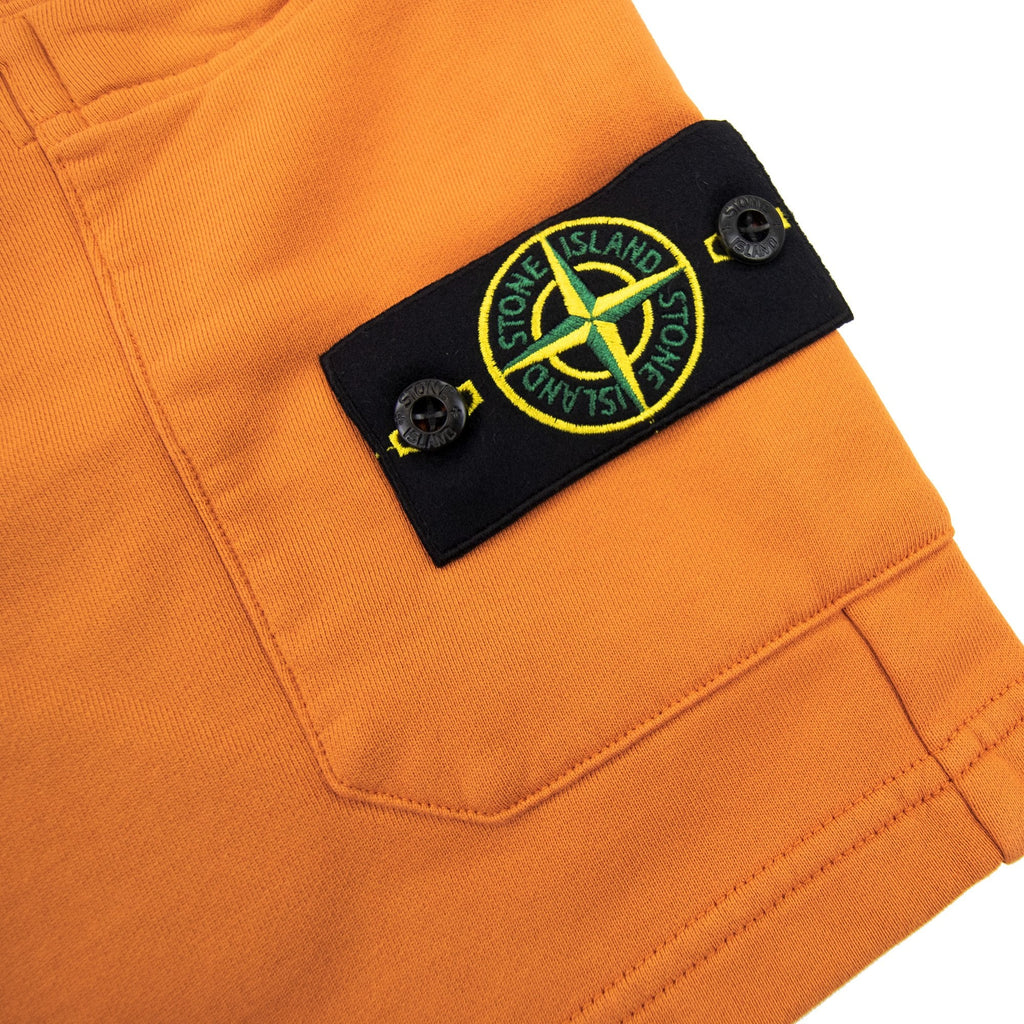 Stone Island 64651 Bermuda Shorts Sienna Brown V0073