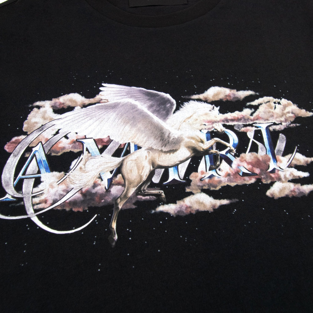 Amiri Pegasus Script Logo T Shirt Black 001