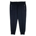 Emporio Armani Ponte Di Roma Fabric Joggers Blue Navy