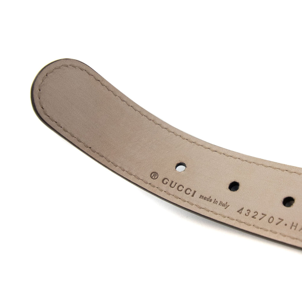 Gucci Junior Gg Web Logo Belt Turquoise/red