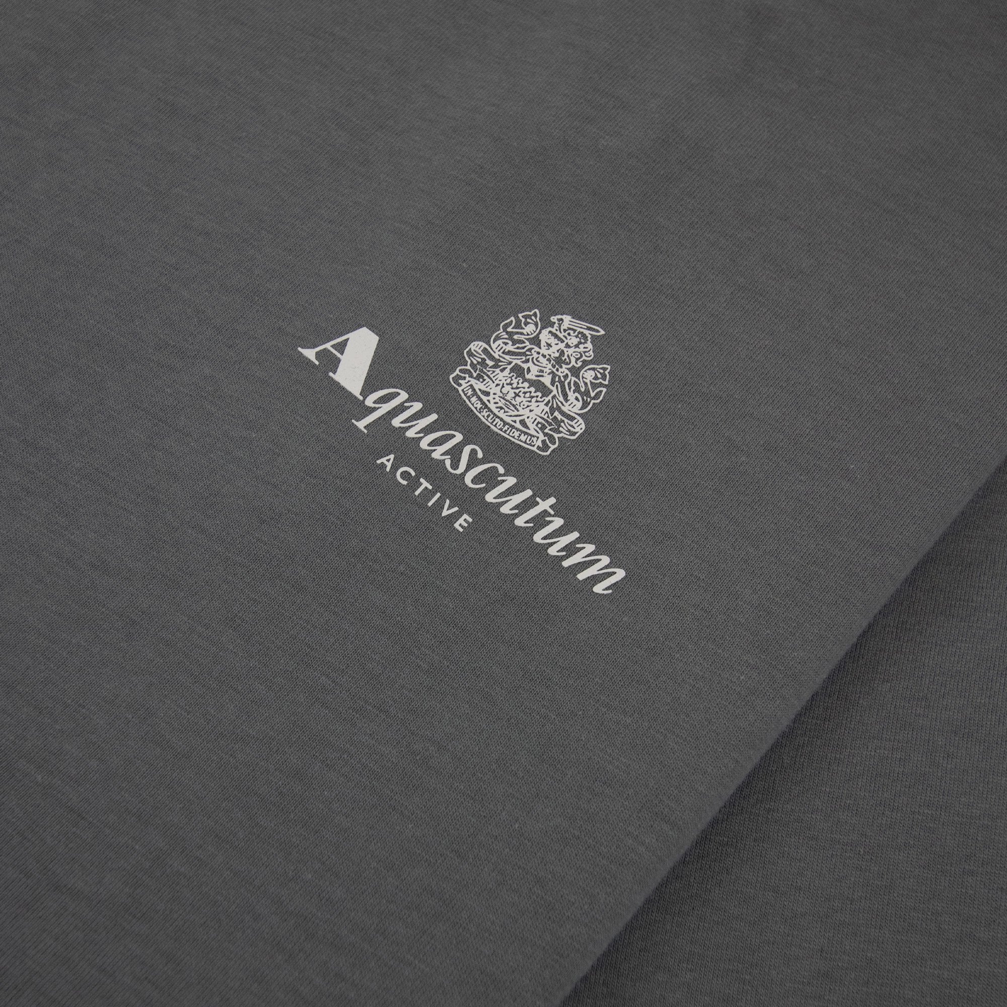 Aquascutum Active Small Logo T Shirt Charcoal