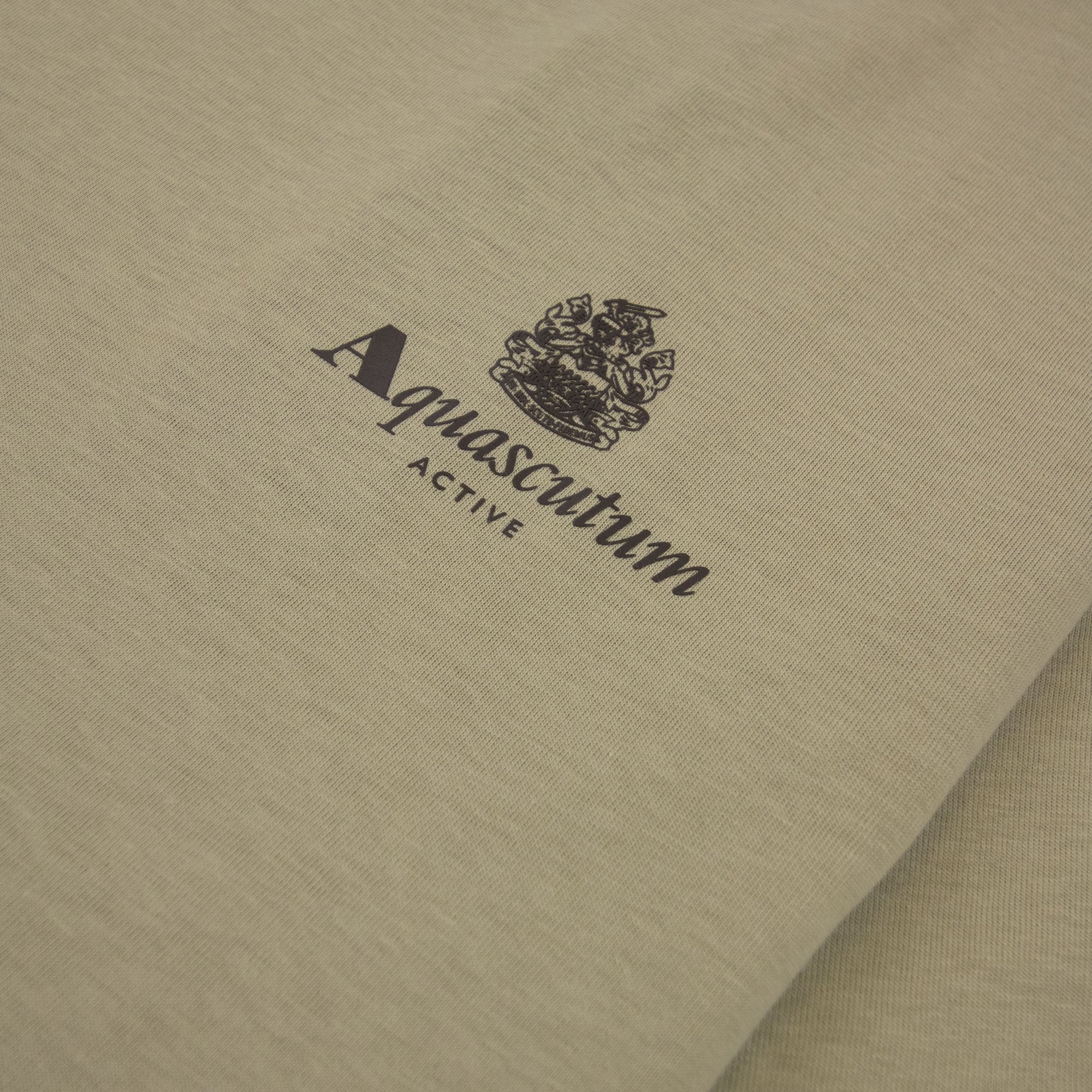Aquascutum Active Small Logo T Shirt Beige