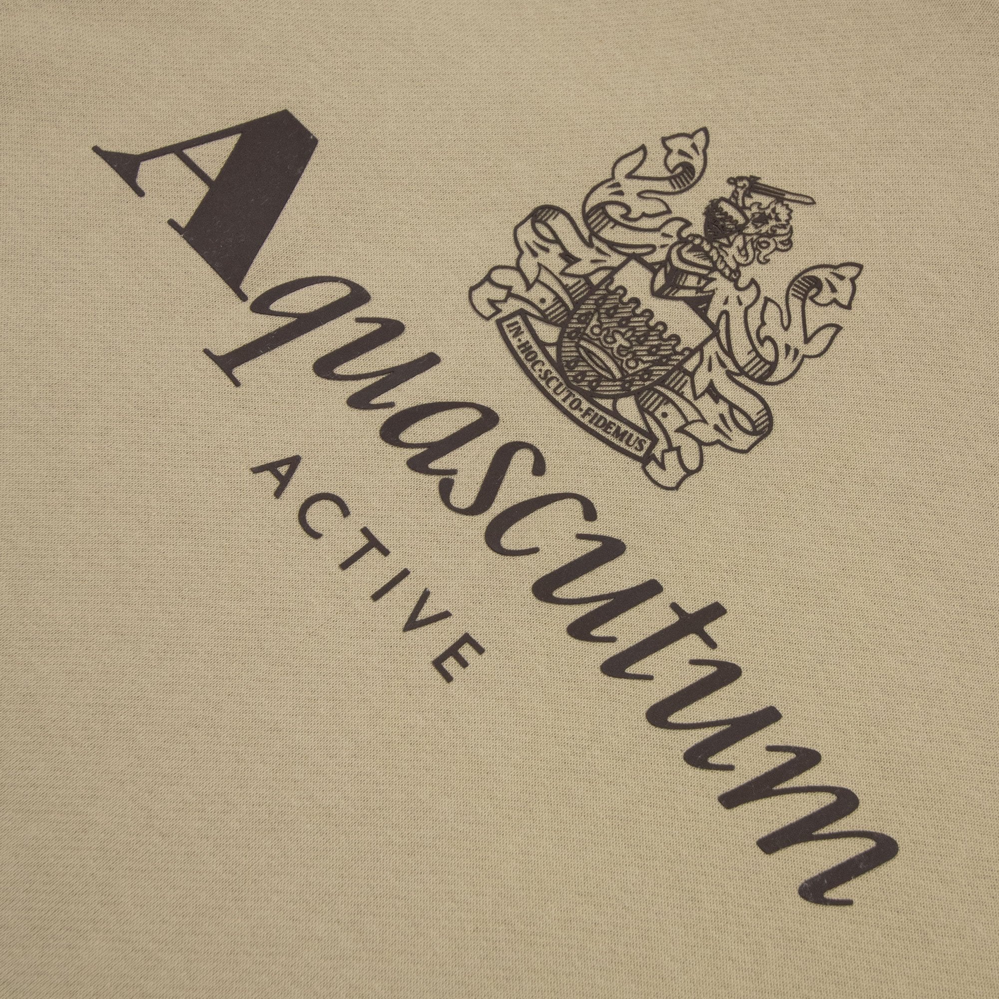 Aquascutum Active Big Logo Hoodie Beige