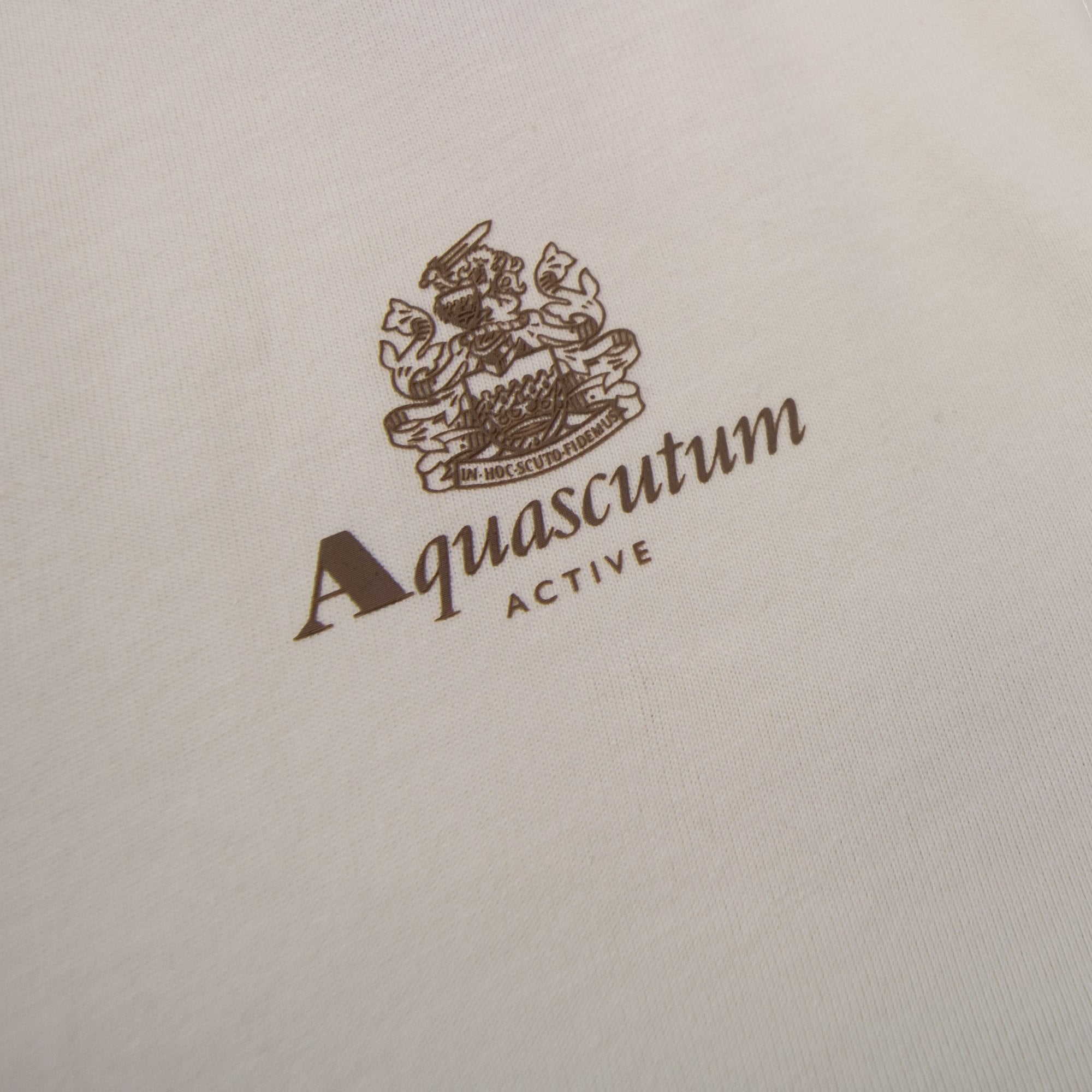 Aquascutum Active Small Logo T Shirt Old White