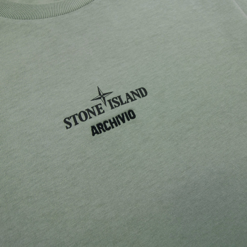 Stone Island 2100037 Organic Cotton T-shirt With Archivio Print Khaki V0055