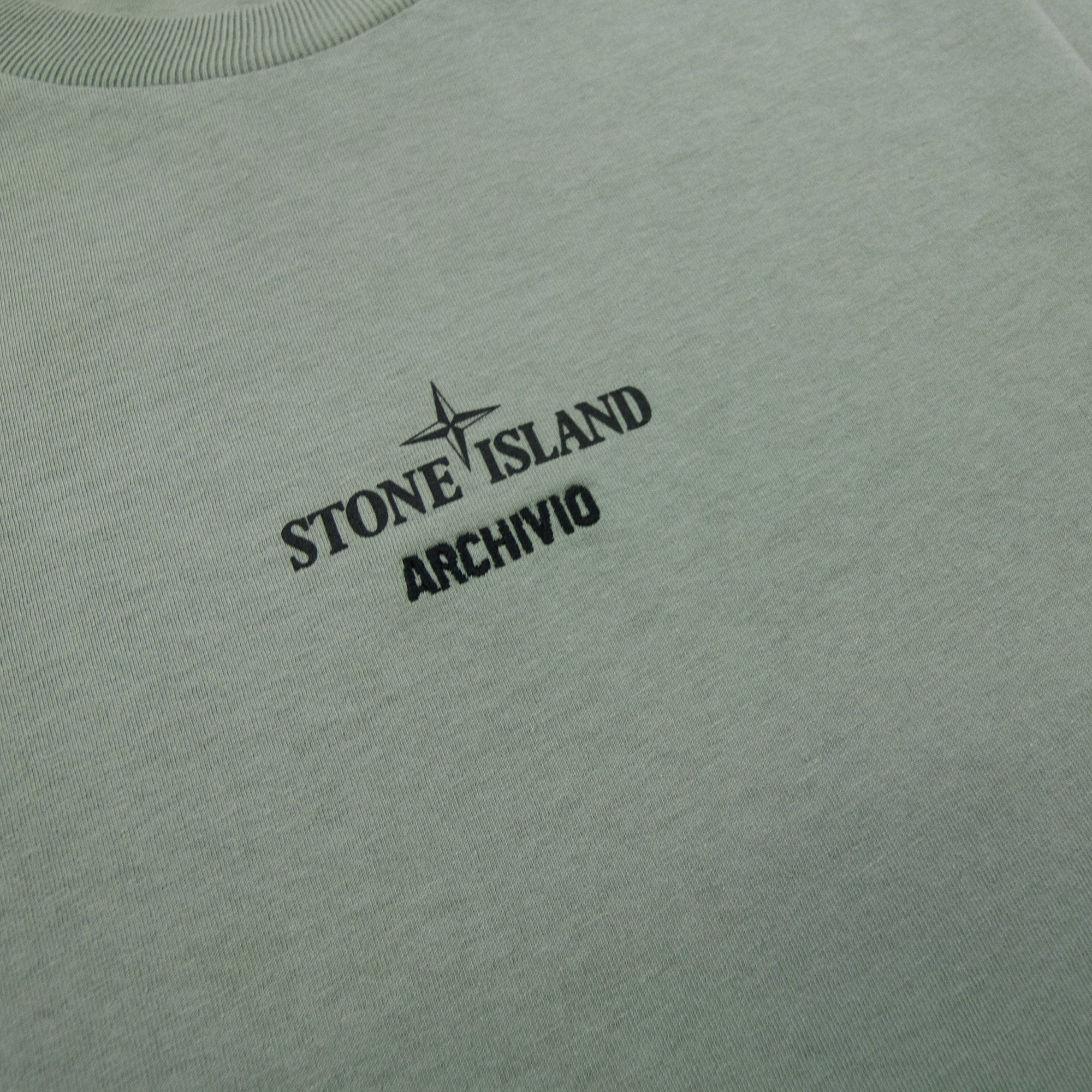 Stone Island 2100037 Organic Cotton T-shirt With Archivio Print Khaki V0055