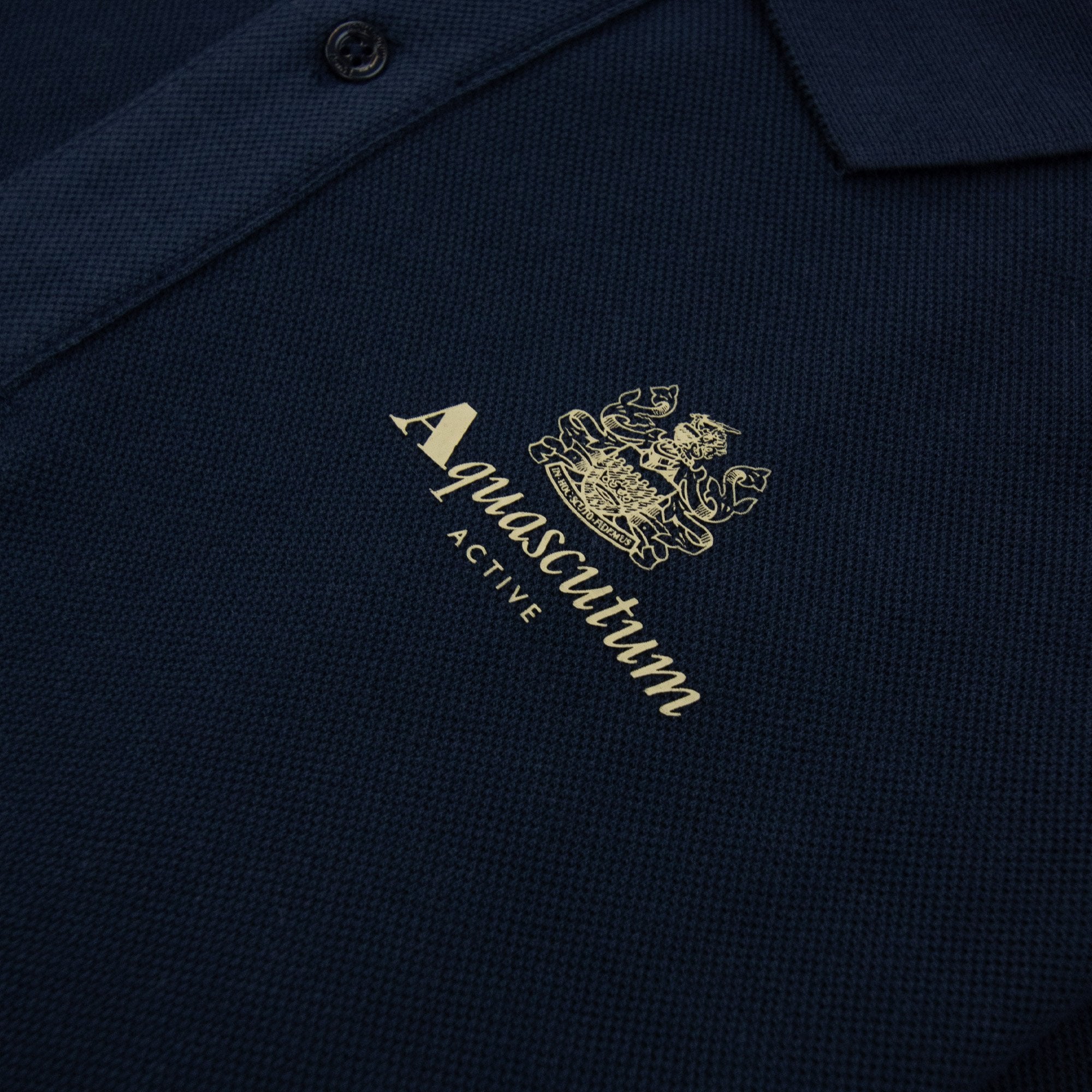 Aquascutum Stripes Piquet L/s Polo Navy 11