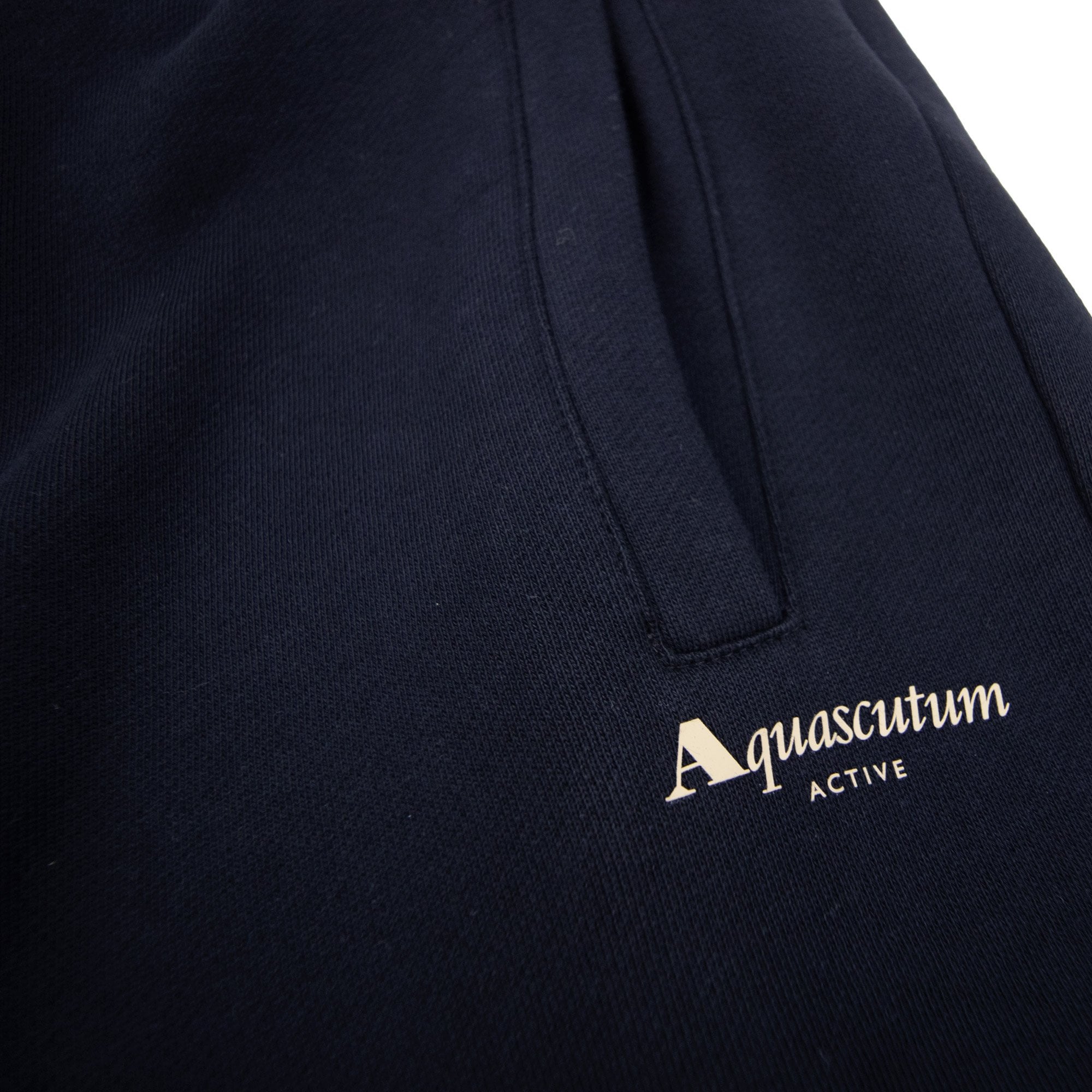 Aquascutum Small Logo Track Pant Navy 11